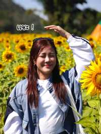ทานตะวันบานแล้วจ้าาาา 🌻