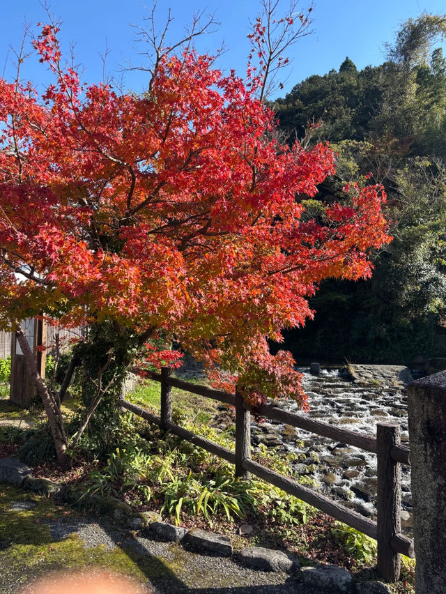 福岡歷史聖地全攻略🥰超推薦❤️