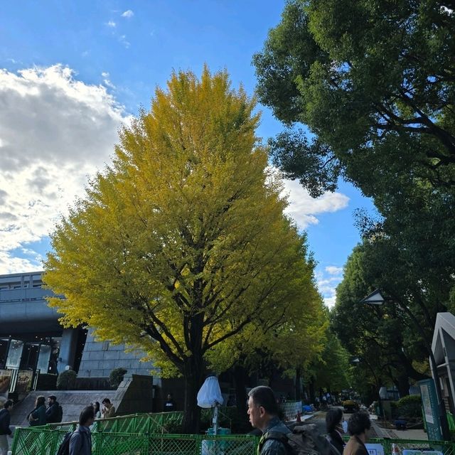 Ueno Park2024