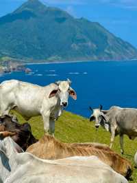 Batanes: The Idyllic Paradise of the North