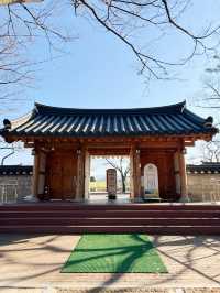 경북 경주 늦가을 여행 대릉원