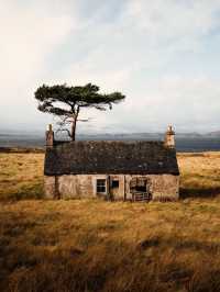 Thatched Roofs and Stone Walls: Falling Head Over Heels for Scotland’s Charming Houses