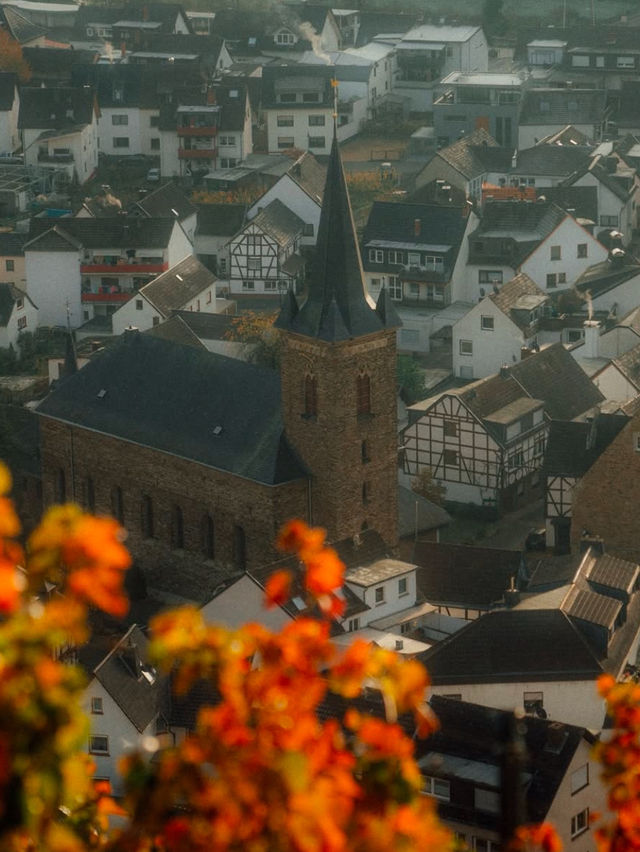 Exploring Castles and Vineyards: A Road Trip Through Rhineland-Palatinate
