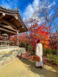 京都嵯峨野の紅葉名所😊🍁小倉山の常寂光寺🍁