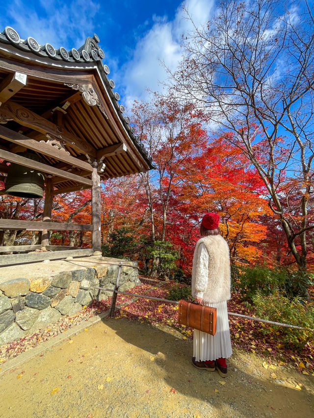 京都嵯峨野の紅葉名所😊🍁小倉山の常寂光寺🍁
