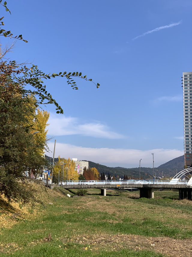 정말 좋았던 창원천 단풍놀이 