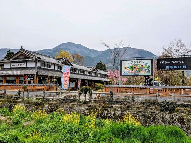 九州由布院人氣景點，仙霧夢幻的金鱗湖