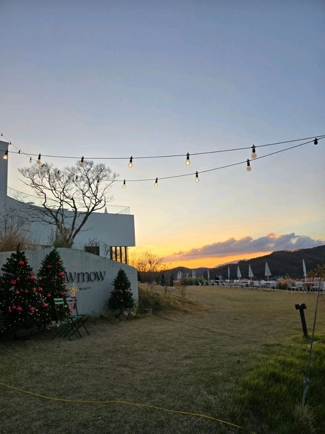 청도카페 가기좋은 청도데이트 추천 "소우모우"🏠