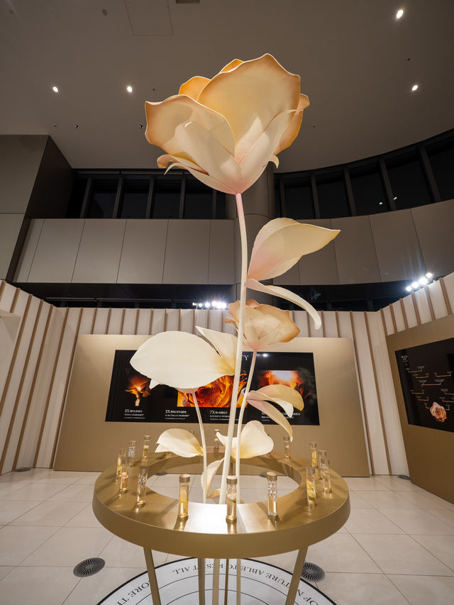 【無料で楽しめる！✨】Diorの期間限定イベントが華々しすぎる！💐