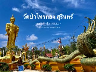 วัดป่าไทรทอง 金碧輝煌的寺廟