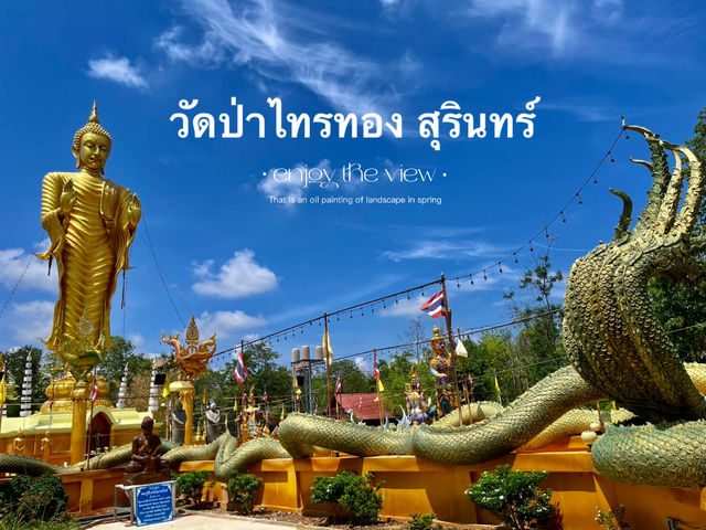 วัดป่าไทรทอง วัดสวยสีทองอร่าม