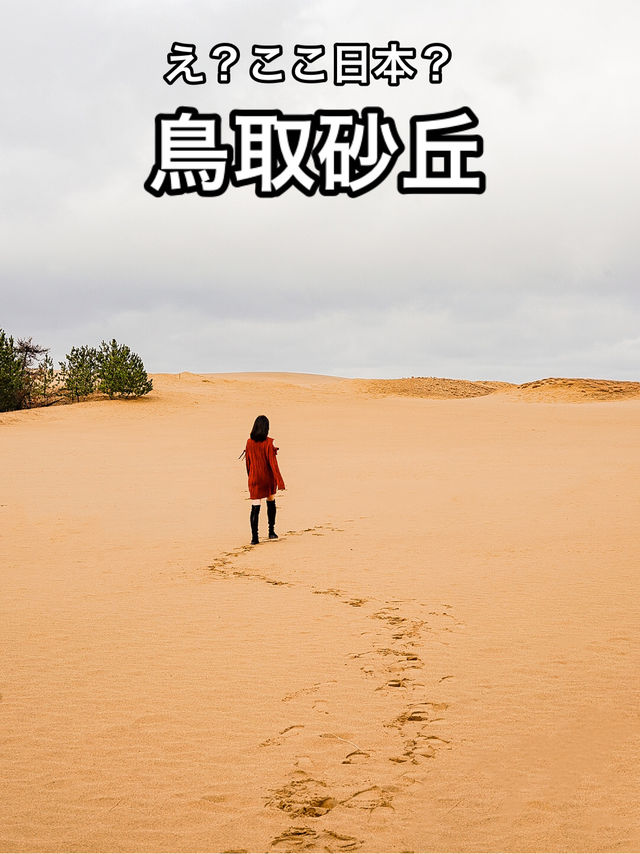 📍鳥取砂丘