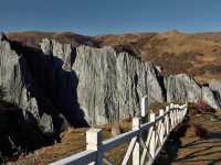 Flaring Rock Forest [Moshi Park in Autumn]