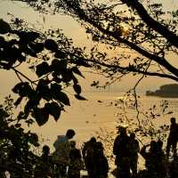 深圳灣公園｜12月深圳的浪漫是日落和海鷗給的