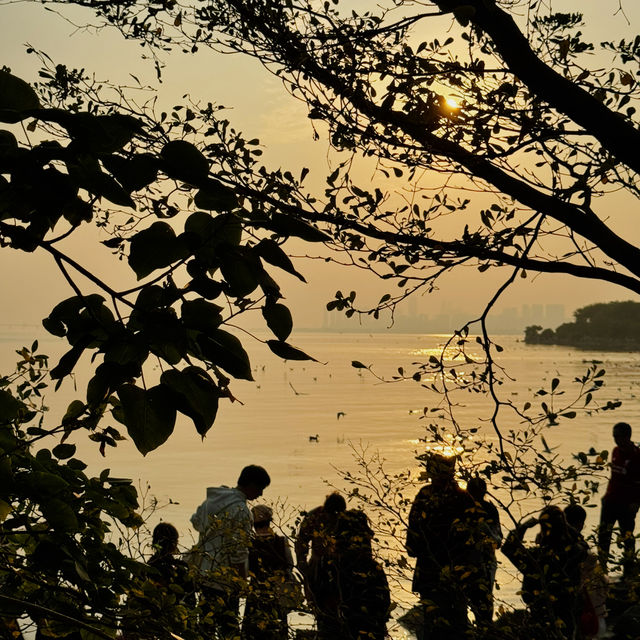 深圳灣公園｜12月深圳的浪漫是日落和海鷗給的