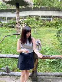 ✨✈️ HKD 4,800 遊越南富國島 Day 3 - Part 2: Safari 珍珠野生動物園✨