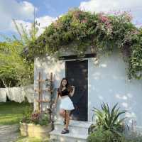 The Creeper House คาเฟ่น่ารักกับChristmas cottage