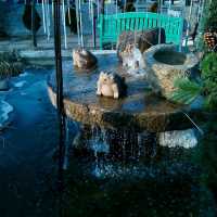 Provence Village เกาหลีใต้