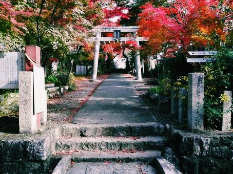 大阪🇯🇵西江寺