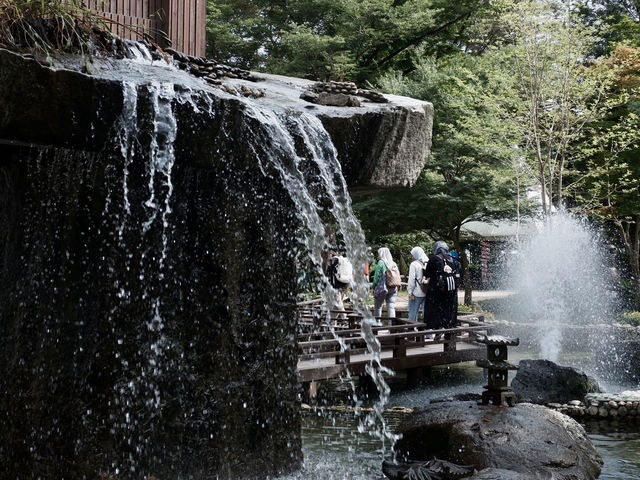 PART 2 | CHASING THE SEASONS ON NAMI ISLAND A DAY OF NATURAL BLISS