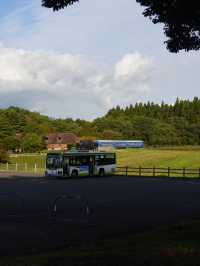【小岩井農場】本場の牧場ならではの魅力🐄