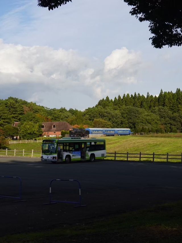 【小岩井農場】本場の牧場ならではの魅力🐄