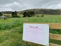 Littlewood Berry Farm 