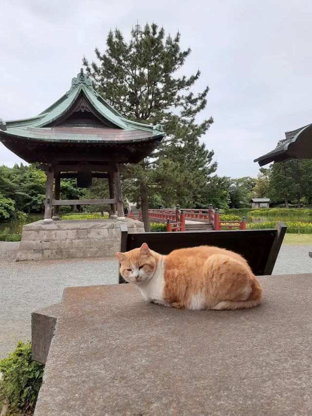 Shomyo-ji Temple