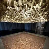 Blanton Museum of Art (Austin)