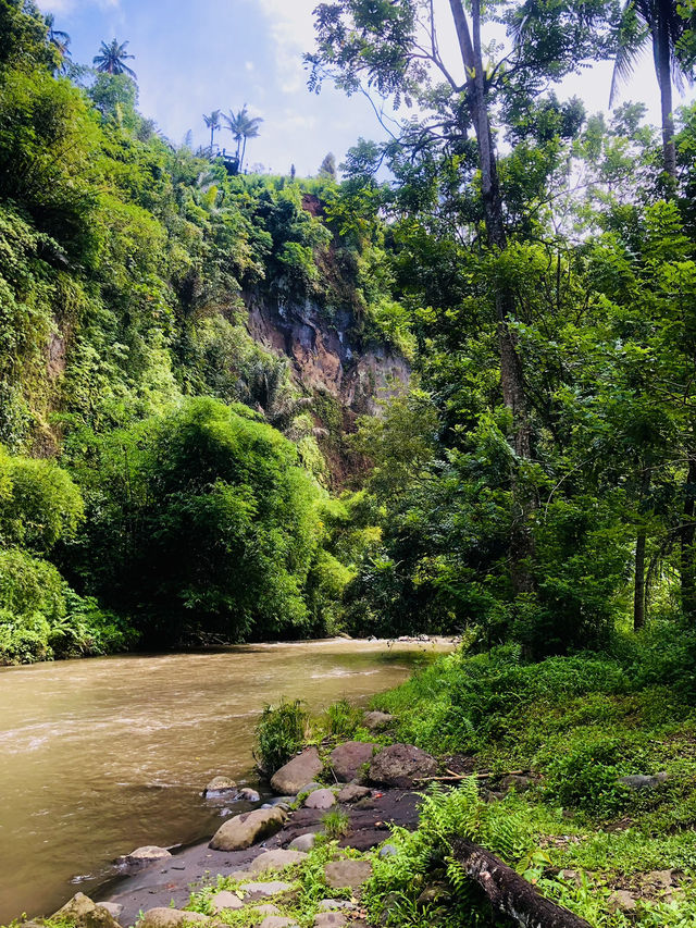Rafing In Ayung River Bali by Pertiwi Adventure 🛶