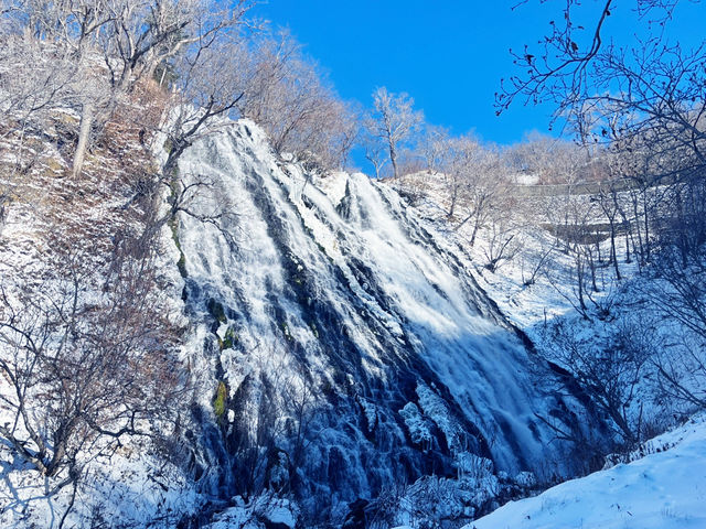 【週末で堪能】北海道網走1泊2日と冬の魅力を満喫する旅