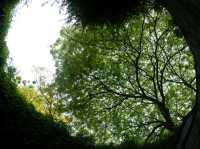 เดินเล่นในสวนที่ Fort Canning Park