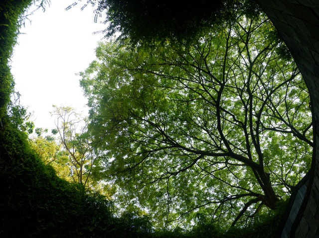 เดินเล่นในสวนที่ Fort Canning Park