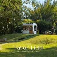 Favor Field สวนผึ้ง