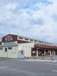沖繩｜糸滿魚市場：漁港直送的鮮味天堂