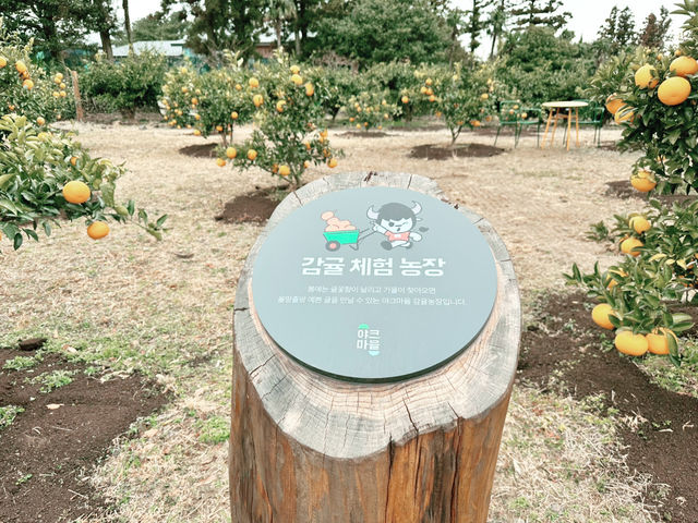 🔥🪵🏕️ 챙길 것 없이 즐기는 캠핑 