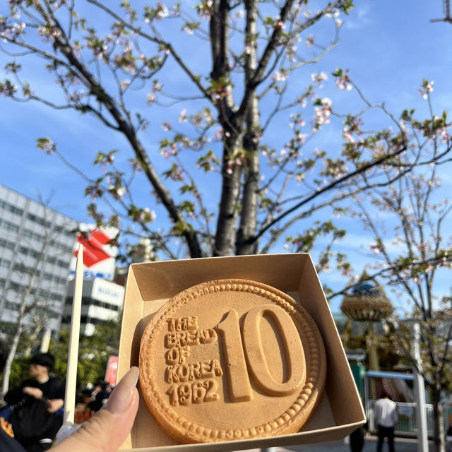 뉴진스, 에스파도 왔다간 도쿄돔과 도쿄돔시티‼️ 🎡⭐️
