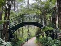 Enchanted Escape at Orchid Forest Cikole