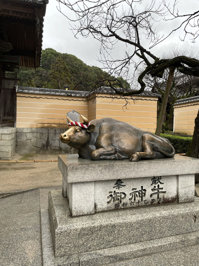 공부의 신을 모신 그곳 ! 후쿠오카 다자이후 천만궁 신사⛩️