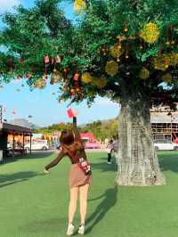 Wishes & Tradition: A Cultural Journey at Lam Tsuen Wishing Tree