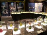 พิพิธภัณฑ์ลูกแพร์ (Nijisseiki Pear Museum)