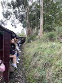 🇦🇺 Marvellous Melbourne: My Favourite Experiences