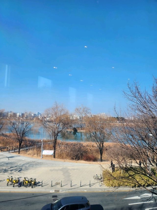 ❣️대구여행 수성못 뷰 맛집 카페, "스타벅스 수성레이크점"❣️