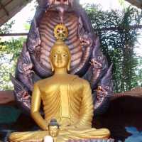 วัดป่าปากโดม อ.พิบูลมังสาหาร