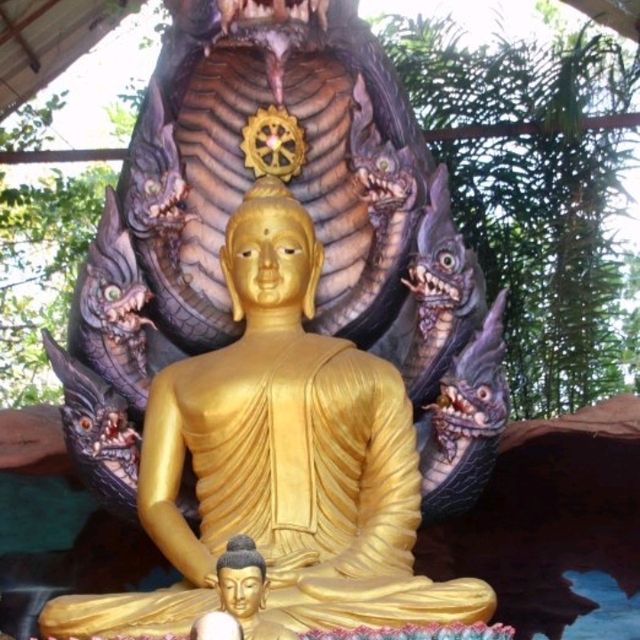 วัดป่าปากโดม อ.พิบูลมังสาหาร