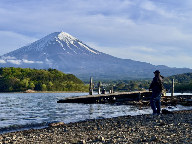 Oishi Park: The Perfect Frame for Mount Fuji