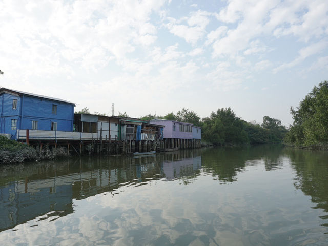 Hong Kong’s Hidden Wetlands: Our Nam Sang Wai Cycling Trip
