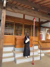 Gotokuji Temple 😸 วัดแมวกวักนำโชคในโตเกียว