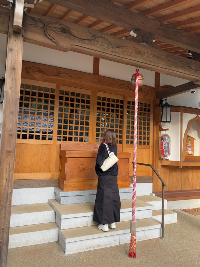 Gotokuji Temple 😸 วัดแมวกวักนำโชคในโตเกียว