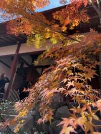 京都｜盡顯禪意之美-常寂光寺 風水布局與神佛傳說